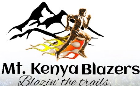 Partner Logo 2